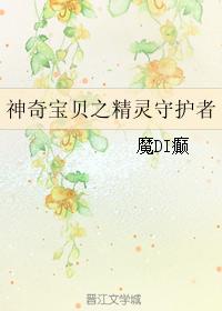 神奇宝贝之精灵守护者